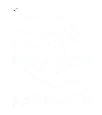 Kardemir